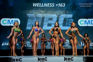 WELLNESS +163